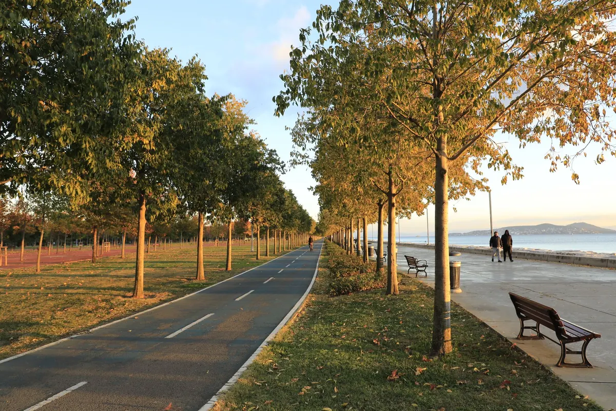 Island Wildlife in Autumn: A Seasonal Checklist for Coastal Paths